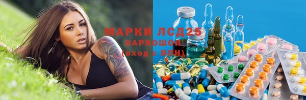 индика Богородск