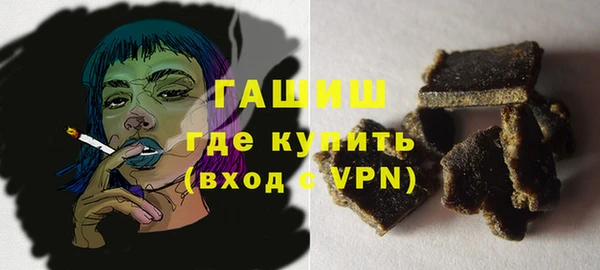 индика Богородск