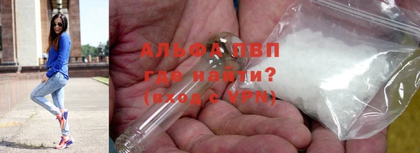 индика Богородск