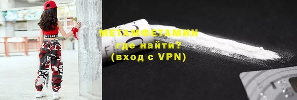 индика Богородск