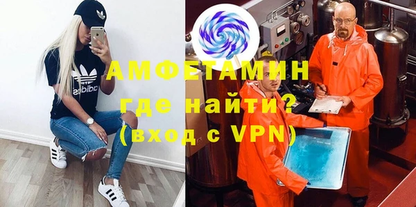 индика Богородск