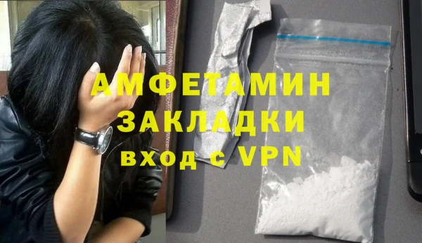 индика Богородск
