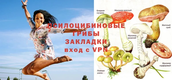 индика Богородск