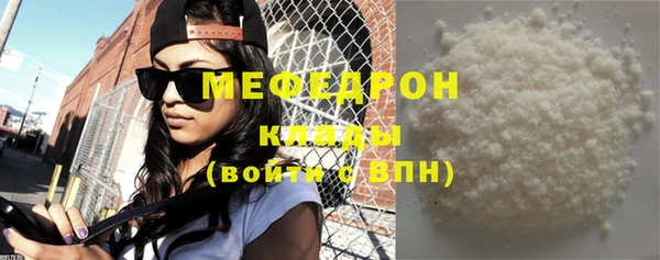 индика Богородск