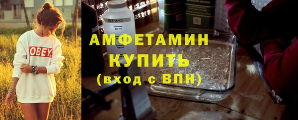 индика Богородск