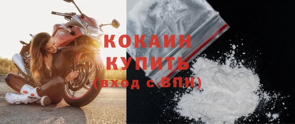 индика Богородск