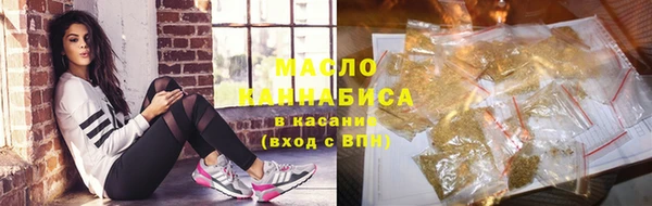 индика Богородск